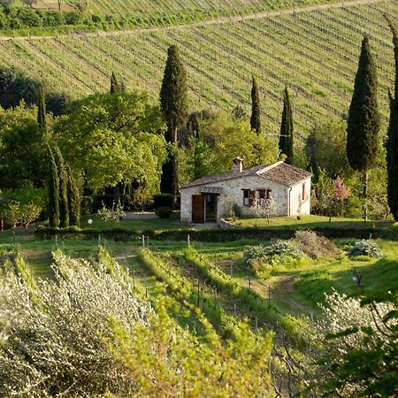 Podere Montese Country House San Gimignano Eksteriør billede