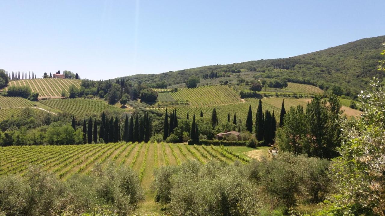 Podere Montese Country House San Gimignano Eksteriør billede